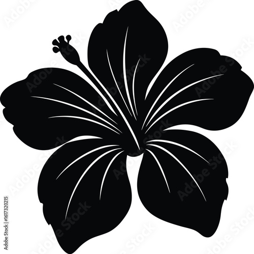 Tropical hibiscus flower silhouette isolated on transparent background