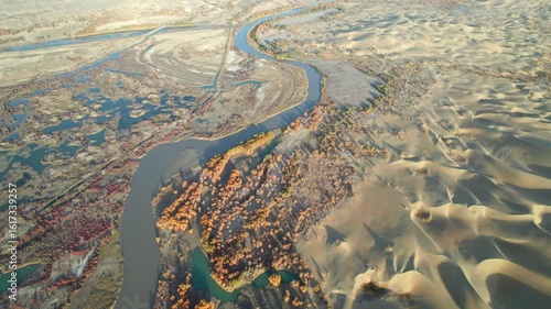 Drone view of lake and river in desert with Populus euphratica forest with yellow golden foliage on sunny autumn day in Xinjiang, China, aerial view of Tata Secret Realm in Yuli, 4k real time footage.