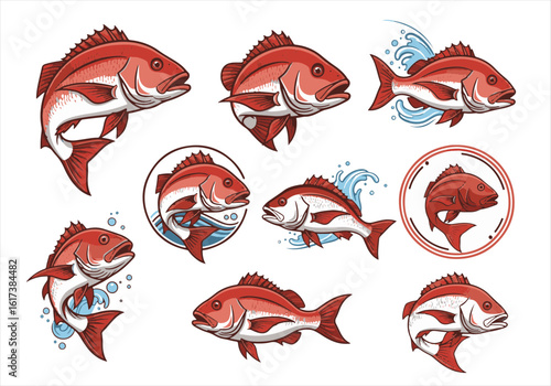 collection Red snapper logo set bundle, vector illustration, isolated on white background