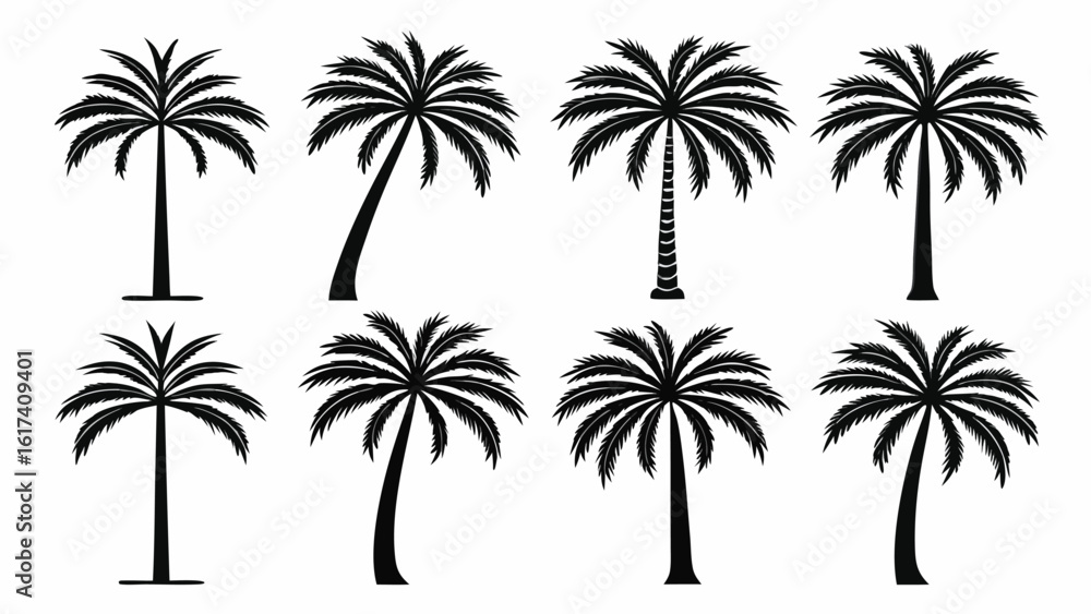 Fototapeta premium Eight distinct black silhouette palm trees tropical