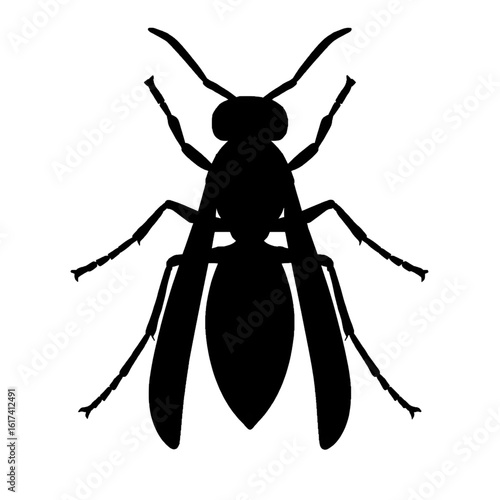 Cricket silhouette victor style 