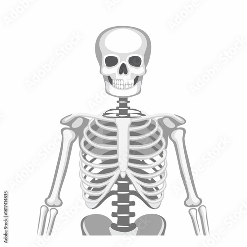 Single vector icon of a human skeleton torso, stylized ribcage and spine, in grayscale flat design