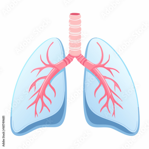 Vector icon of a pair of lungs, stylized with trachea and bronchi visible, light blue and pink color scheme