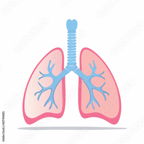 Vector icon of a pair of lungs, stylized with trachea and bronchi visible, light blue and pink color scheme