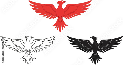 Phoenix bird vector illustration set red black and white phoenix drawing phoenix outline art