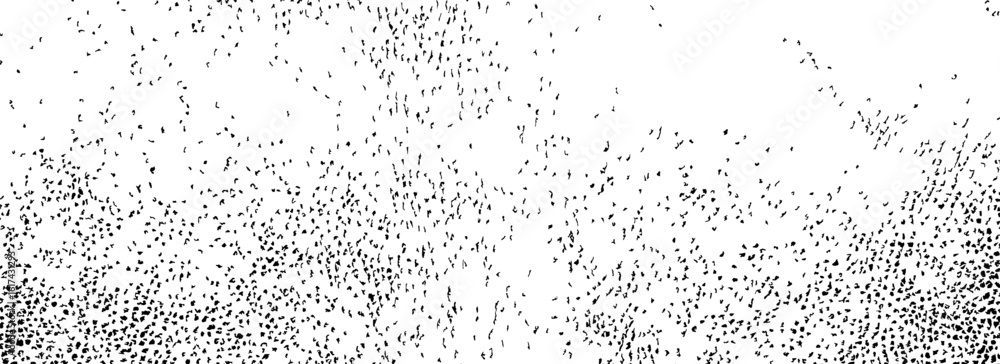 Fototapeta premium Grunge grain texture. Black and white distressed noise dots background. Irregular gritty wallpaper. Dirty grit specks overlay. Gravel particles backdrop for banner, poster, brochure. Vector