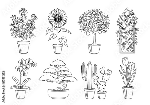 Vector art of collection of potted plants and flowers isolated on white