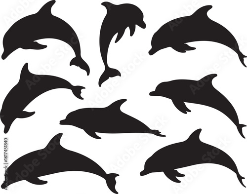 Diverse dolphin silhouettes leaping and swimming marine life ocean