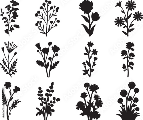 Black floral silhouettes on white background botanical plants