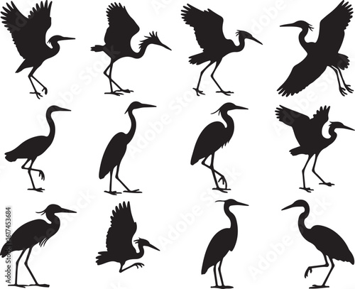 Black silhouette of herons in various poses bird white