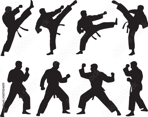 Martial artists executing kicks and punches in silhouette martial arts karate