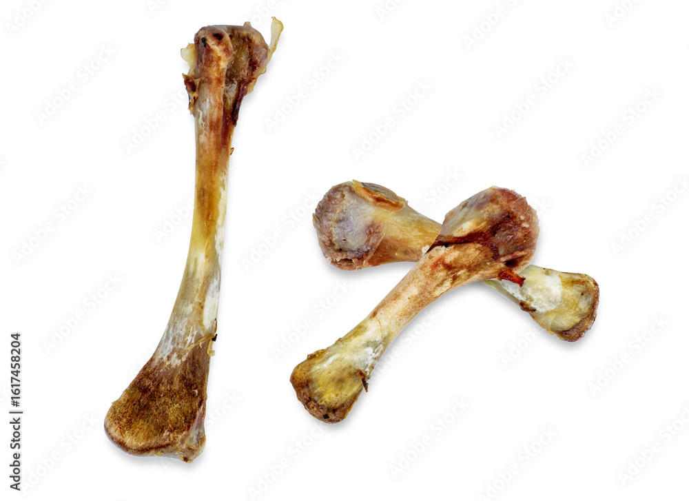 chicken bones isolated on transparent background chicken bones isolated on transparent background