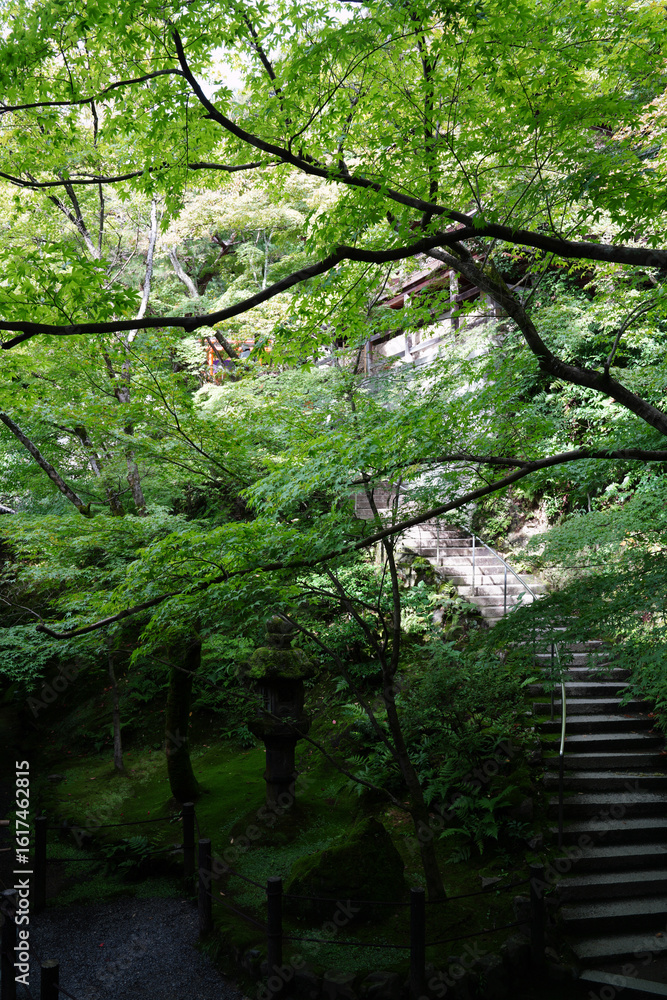Naklejka premium 永観堂禅林寺の初秋の庭園の風景