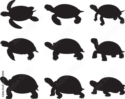 Black turtle silhouettes on white background reptile tortoise animal