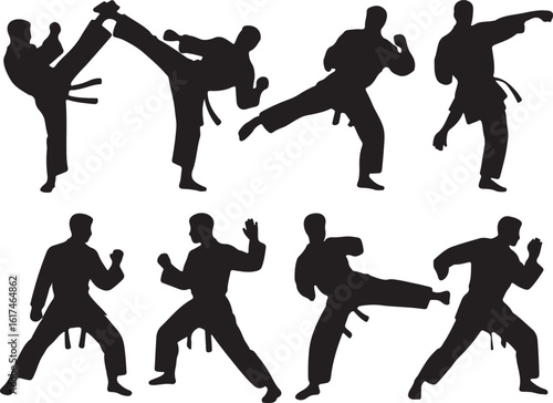 Martial artists performing dynamic kicks and punches in silhouette martial arts karate