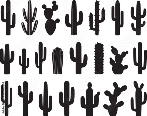 Various desert plants in black silhouette cactus flora