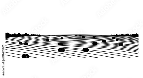 Hay bales in a field create a harmonious rural scenery.