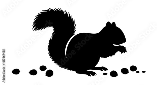 A black squirrel silhouette eating a nut with scattered nuts around.