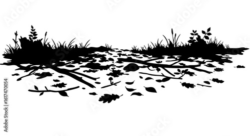 Silhouette of a forest floor, with leaves, grass, and branches.