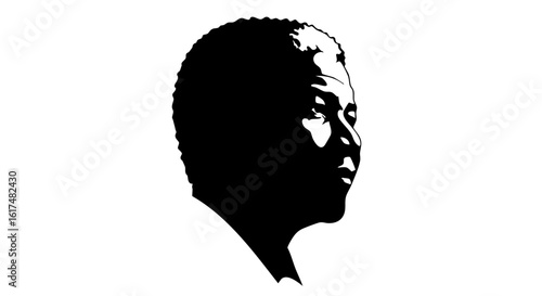 A striking silhouette profile of a person, capturing the essence of their features.