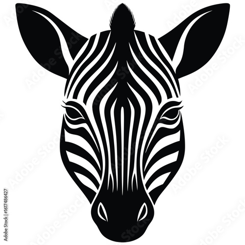 zebra isolated on white background