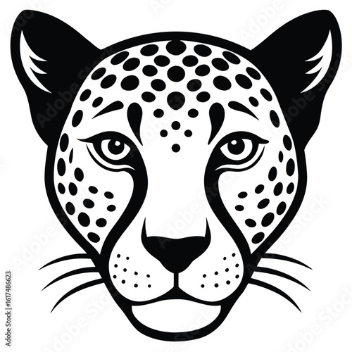 vector illustration of a cat