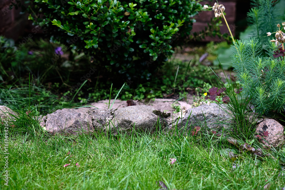 Green garden area with stone edging and plants in a quiet residential setting on a sunny afternoon Green garden area with stone edging and plants in a quiet residential setting on a sunny afternoon