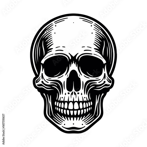 A detailed, stylized illustration of a human skull, rendered in black and white with intricate line work and shading.