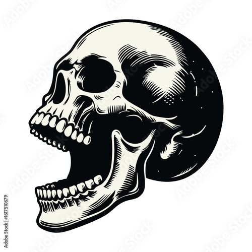 Illustration of a human skull in profile with an open mouth, rendered in a vintage, engraved style with detailed shading and line work.
