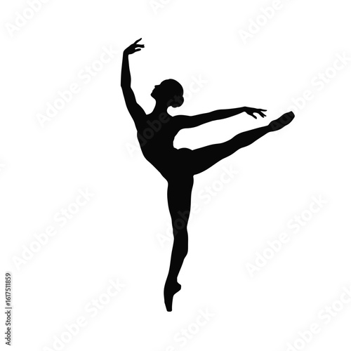 Elegant Ballerina Silhouette: Graceful Pose