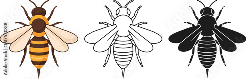 Honey bee vector illustration set, bee drawing, bee outline, bee silhouette, insect art design