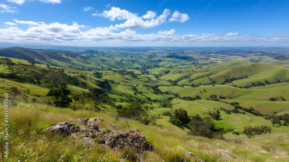Naklejka premium Expansive view of rolling hills and valleys.