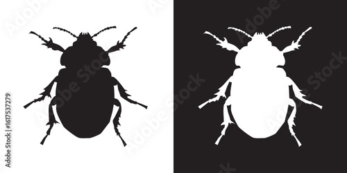 Black beetle animal silhouette on white background and white on black background, simplified beetle figure for stencil or print art, flat illustration vector image of animal in black and white.
