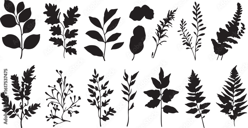 Fototapeta premium Black Leaf Silhouettes: Botanical Vector Collection for Design