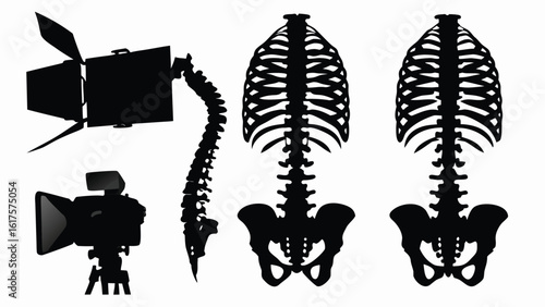  A Visually Engaging Illustration Featuring Human Skeletal Structures Juxtaposed with Modern Photography Equipment. Two Full Rib Cages and an Isolated Spine Stand Opposite Silhou