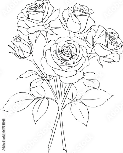 Wallpaper Mural Rose Line Art on White Background – Vector Illustration Torontodigital.ca