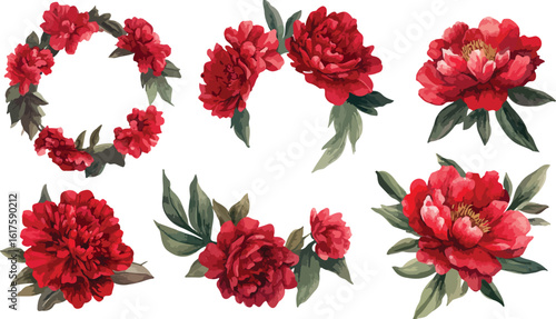 Collection of Watercolor Red Peony Flower Arrangements on White Background for Design