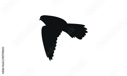 Foto Flying American kestrel bird Silhouette Design  And Vector Illustration