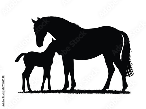 Mare and Foal Silhouette Graphic on White Background for Design