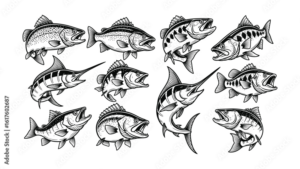 Fototapeta premium Vector Assortment Hand-Drawn Variety of Fish for Fishing Enthusiasts and Aquatic Designs