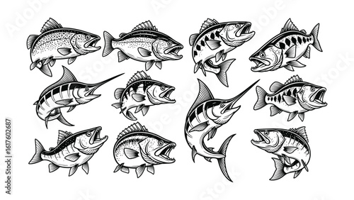 Vector Assortment  Hand-Drawn Variety of Fish for Fishing Enthusiasts and Aquatic Designs