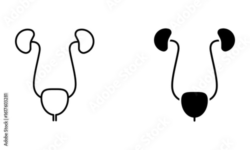 Kidneys with bladder, illustration of urinary system icon vector