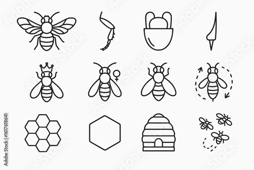 Bee icons: hive, queen, honeycomb, drone, larva, wing, sting, swarm