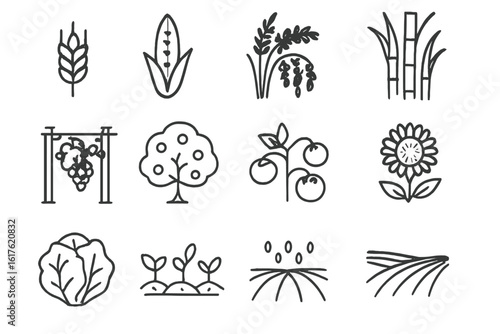 Set of twelve simple agricultural icons featuring plants and crops