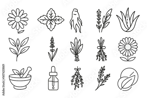 Collection of herbal icons featuring plants and natural remedies