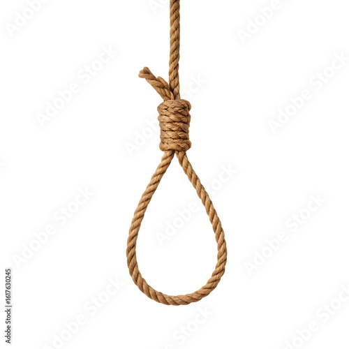Thick brown rope noose knot isolated on a transparent background image