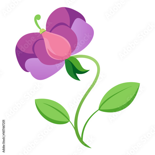Stylized purple and pink sweet pea flower with green leaves and stem