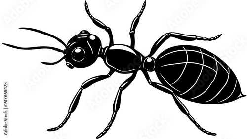Stylized black ant illustration with detailed anatomy