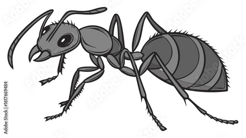 Stylized illustration of a gray ant on a white background