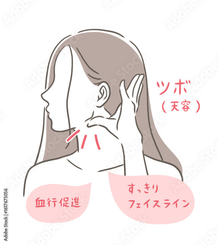天容のツボを押す女性の横顔のイラスト素材
